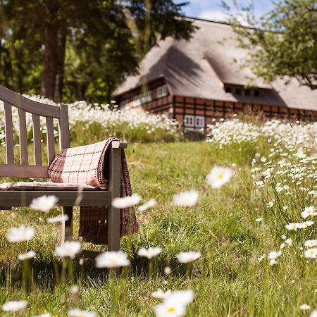 Park Am See X Nattika Ayurveda, Hotel Health Spirit Penzlin Esterno foto