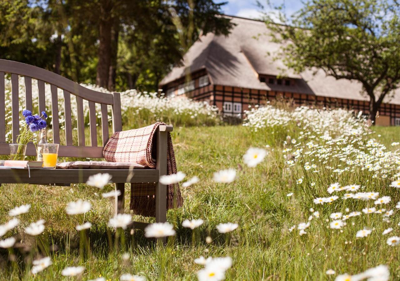 Park Am See X Nattika Ayurveda, Hotel Health Spirit Penzlin Esterno foto