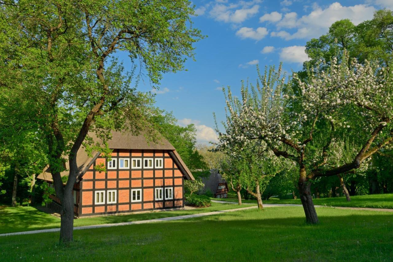 Park Am See X Nattika Ayurveda, Hotel Health Spirit Penzlin Esterno foto