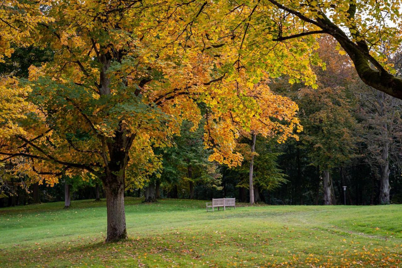Park Am See X Nattika Ayurveda, Hotel Health Spirit Penzlin Esterno foto